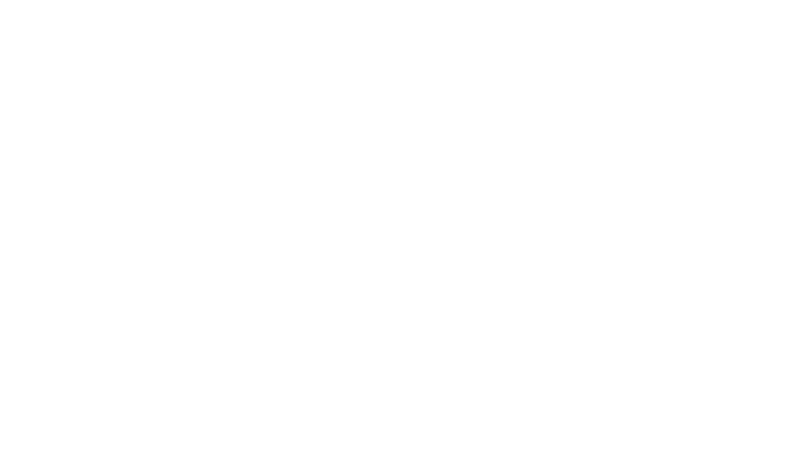 CarFlex Studio